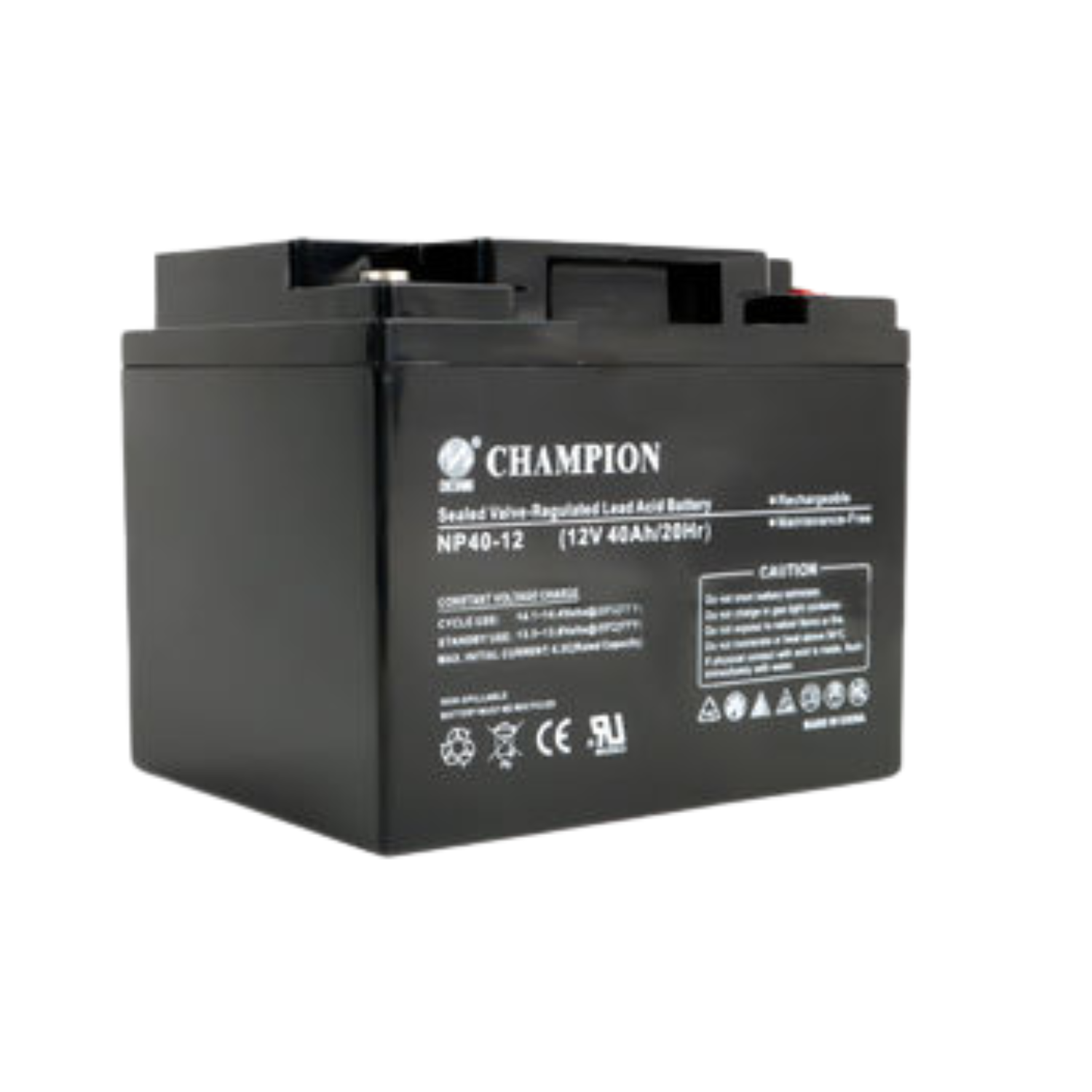 Champion 1 - 12V 100AH Gel Battery