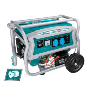 Gasoline 4 Stroke generator TP135006E