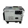6.5KVA Girasol Silent Diesel Generator with ATS DG6500SE